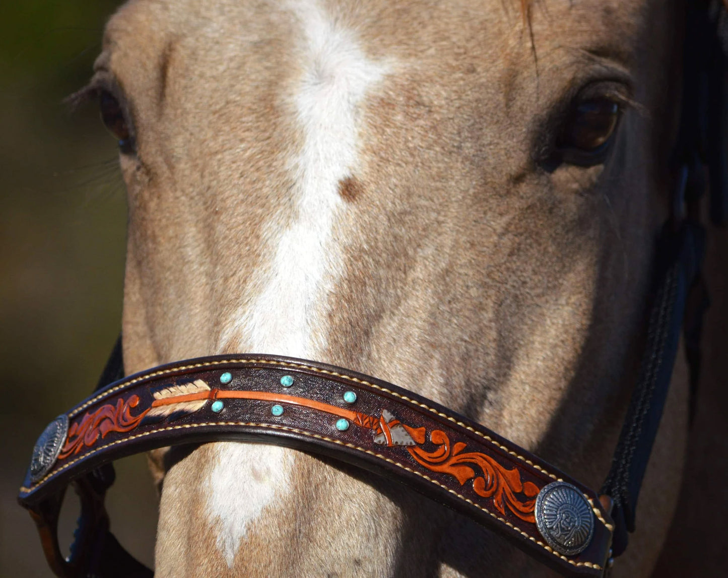 4 Nose Bands Halters Template Set
