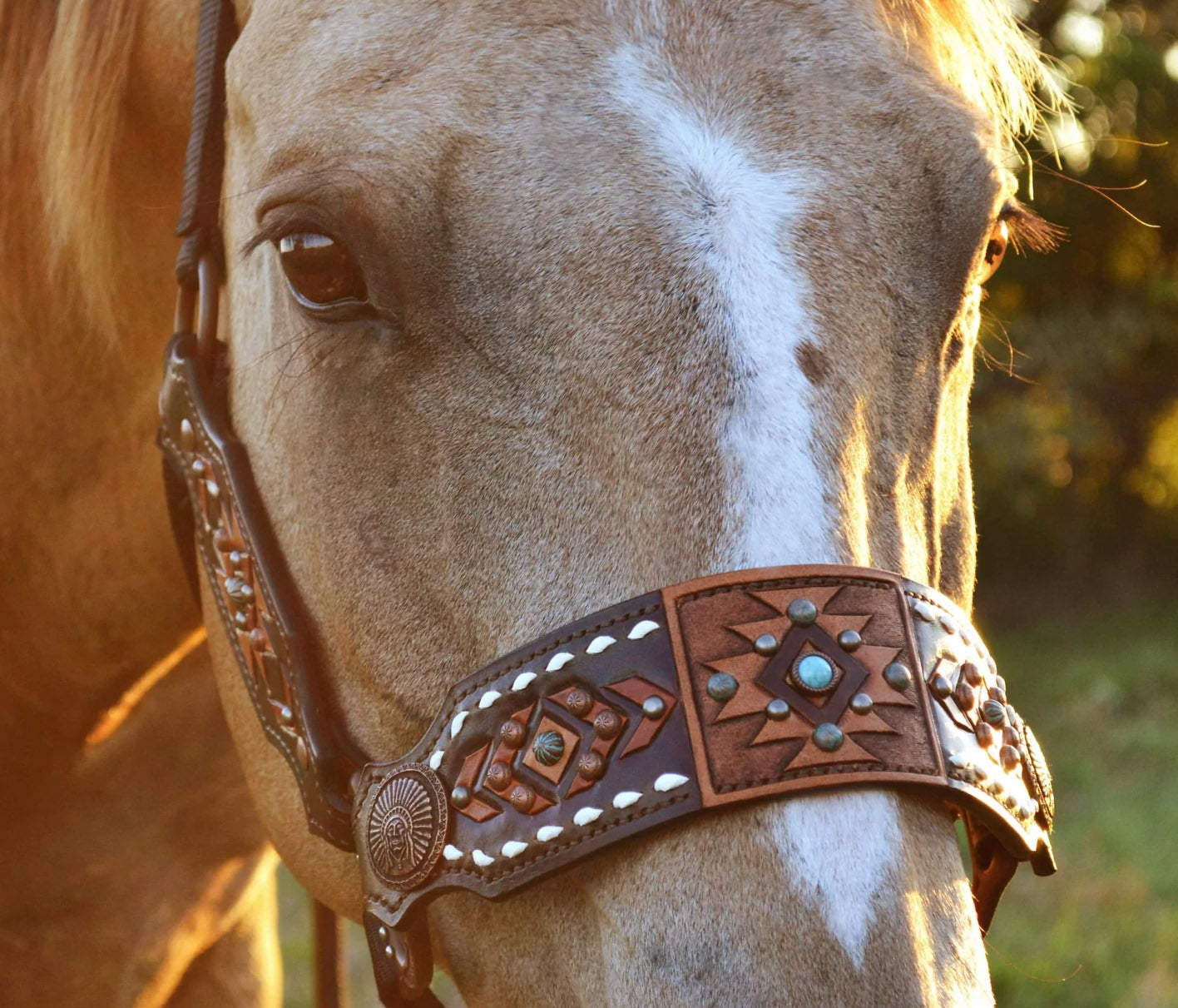 4 Nose Bands Halters Template Set