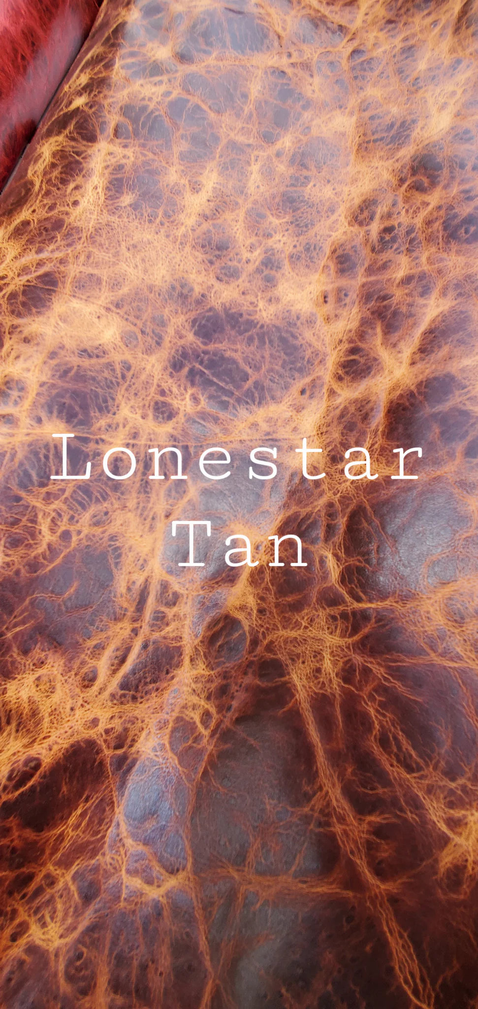 Lone Star Lineup Leather  in 7 Colors! Available Cut by the Square Foot