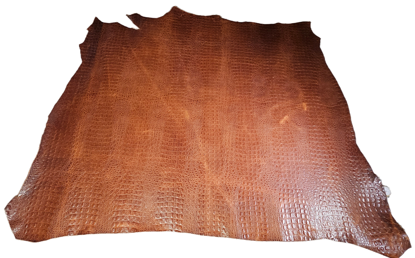 Crocodile  Embossed Veg Tan Leather - Beautiful Brown