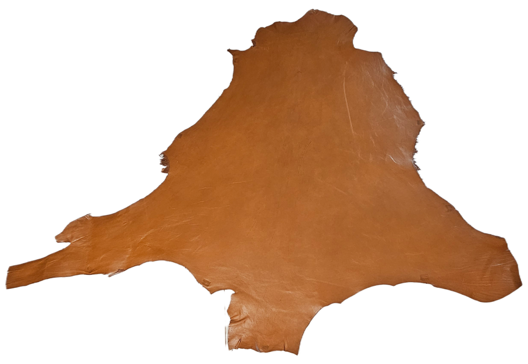 Kangaroo Hide  (Veg Tanned)  Finished - Tan