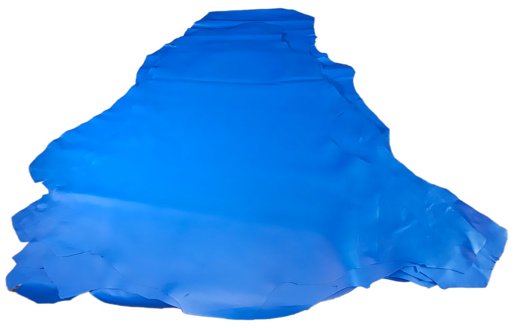Kangaroo Hide  (Chrome Tanned) Finished - Royal Blue
