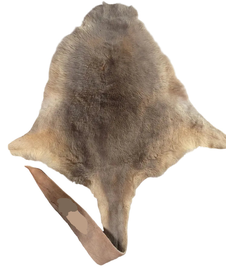 Kangaroo Hair on Hide with Tail