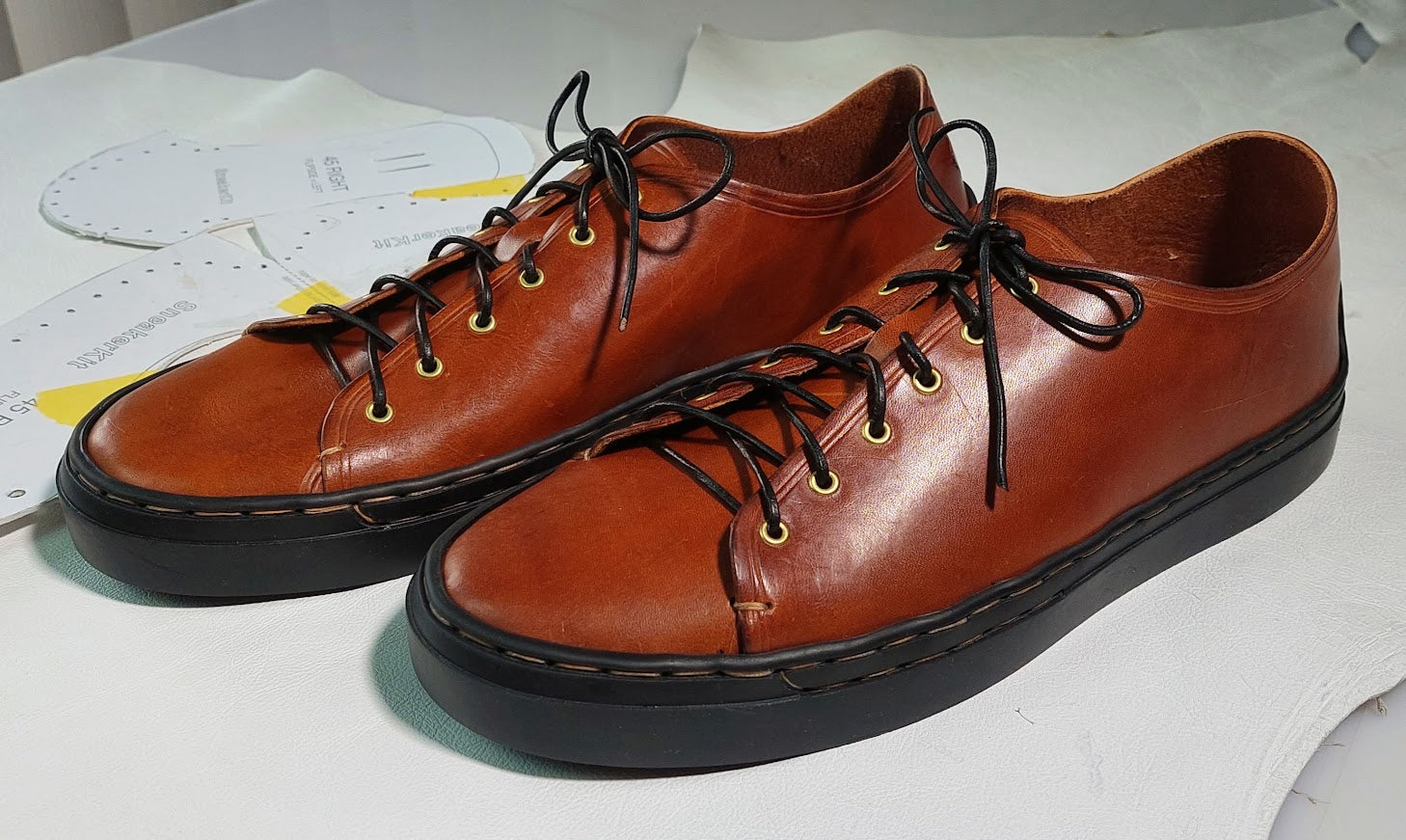 Sneaker / Shoe Kit, Size 36